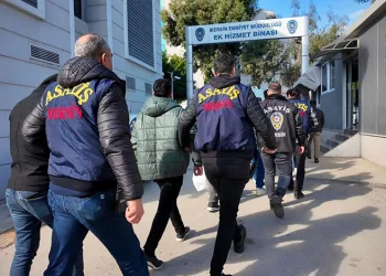 Mersin’de ‘sazan sarmalı’ operasyonu