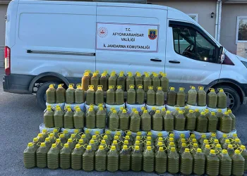 Jandarma sahte zeytinyağı ve salça ele geçirdi
