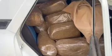 Samsun’da 250 kilo kaçak tütün ele geçirildi