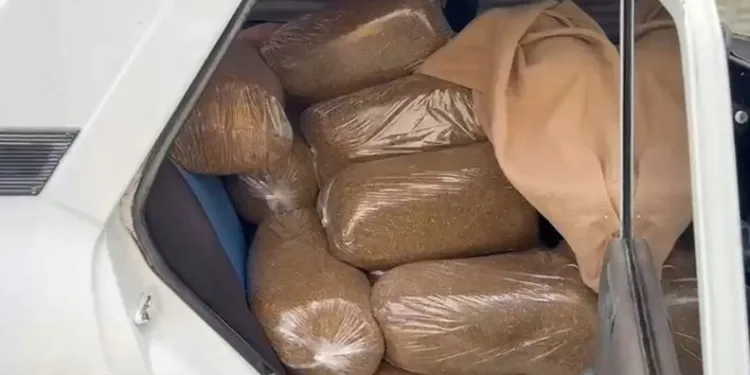 Samsun’da 250 kilo kaçak tütün ele geçirildi