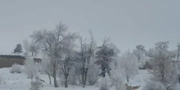 Erzurum buz kesti