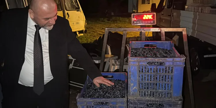 Zeytin ve zeytinyağında yeni başarı