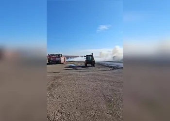 Bitlis’te 24 düzensiz göçmen yakalandı