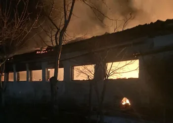 Bursa’da büyükbaş hayvan çiftliğinde yangın