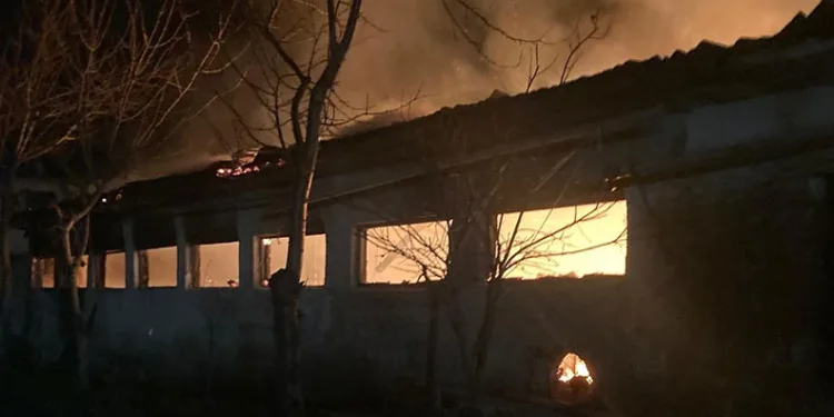 Bursa’da büyükbaş hayvan çiftliğinde yangın