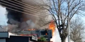 Tavuk çiftliği alevlere teslim oldu