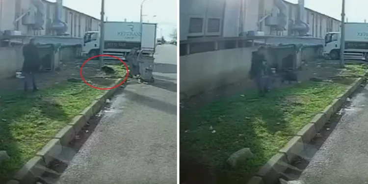 Bursa’da yolda yürürken başıboş köpeğin saldırısına uğradı