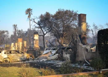 California yangınlarında ölü sayısı  yükseldi