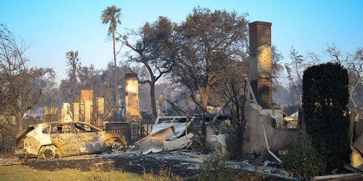 California yangınlarında ölü sayısı yükseldi