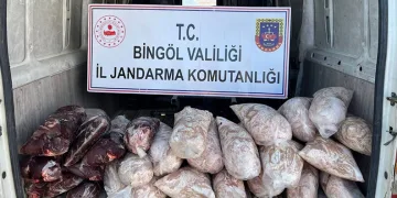 Hijyen kurallarına aykırı şekilde taşınan 200 kilo sakatat ele geçirildi