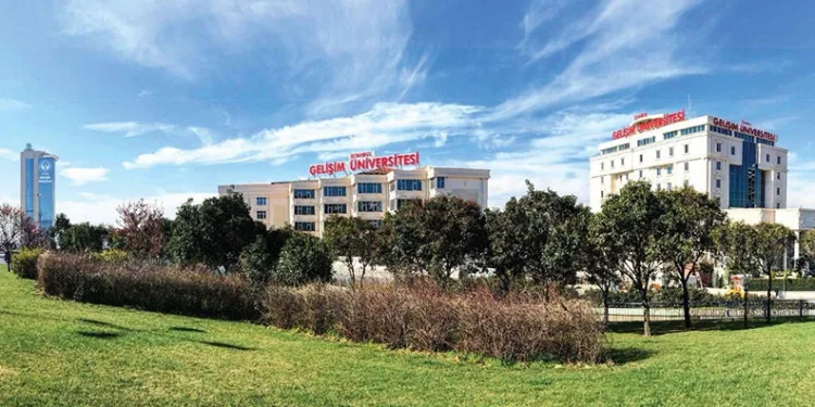 Doktora programlarında yeni dönem