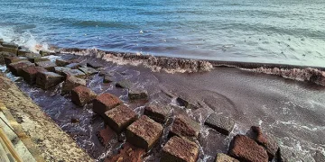 Tekirdağ kıyılarında kızıl yosun istilası