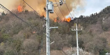 Japonya’da orman yangını
