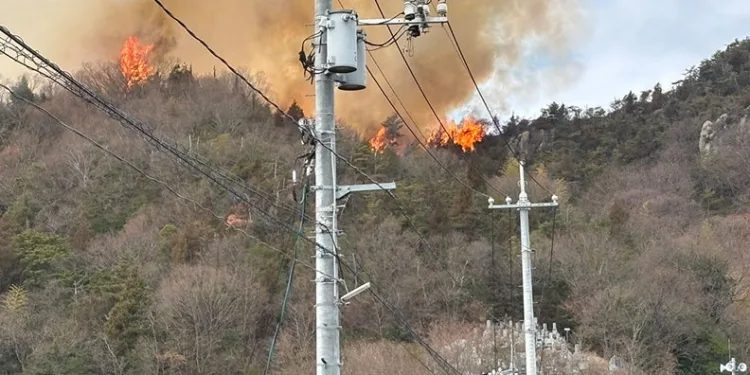 Japonya’da orman yangını