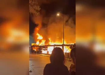 Camiyi kundaklayan psikolojik sorunları olan şahıs yakalandı