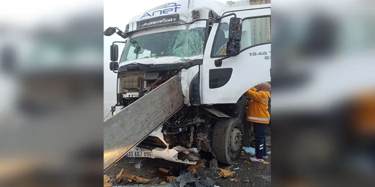 Artvin’de kaçak avcılar kameralara takıldı