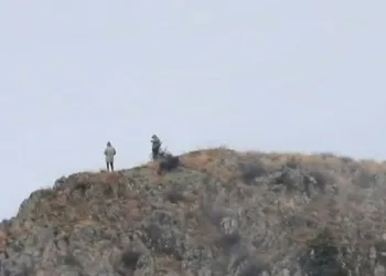 Artvin’de kaçak avcılar kameralara takıldı