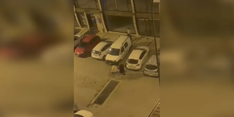 Mersin’de kaçakçılık operasyonu: 1 gözaltı