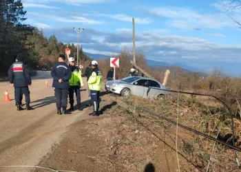 Kontrolden çıkan otomobil elektrik direğini devirdi