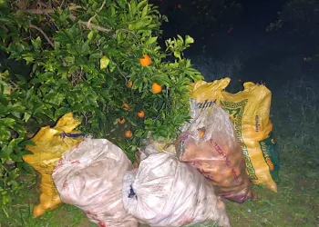 Mersin’de uyuşturucu ve silah ticareti yapan 3 şüpheli tutuklandı