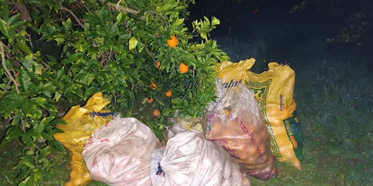 Mersin’de uyuşturucu ve silah ticareti yapan 3 şüpheli tutuklandı