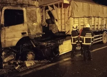 Köşk’te kablo hırsızları yakalandı