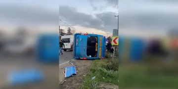 Artvin’de kaçak avcılar kameralara takıldı