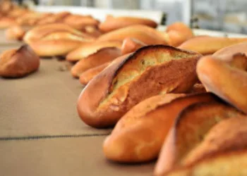Los Angeles’taki orman yangınlarında ölü sayısı 25’e yükseldi