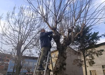 Bursa’da traktör şarampole yuvarlandı