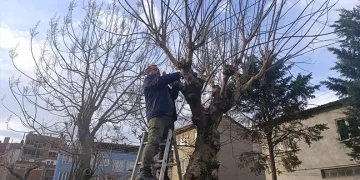 Bursa’da traktör şarampole yuvarlandı