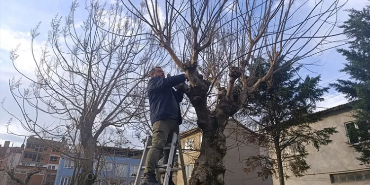 Bursa’da traktör şarampole yuvarlandı