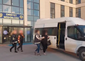 Sinop’ta ölüme terk edilen köpekler kurtarılmayı bekliyor