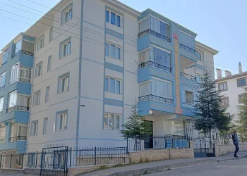 Kuyucak’ta köpek dövüşüne jandarma baskını: 3’ü organizatör, 52 şahıs yakalandı