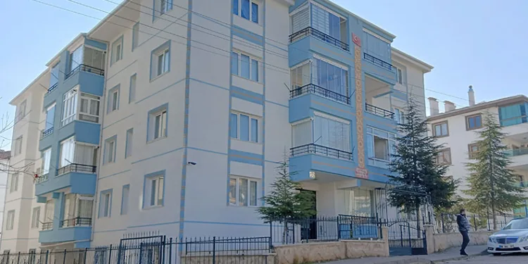 Kuyucak’ta köpek dövüşüne jandarma baskını: 3’ü organizatör, 52 şahıs yakalandı