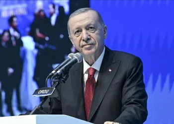 Güney Kore’deki uçak kazasıyla ilgili yeni veriler ortaya çıktı