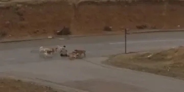 Yakıt deposundan litrelerce uyuşturucu çıktı