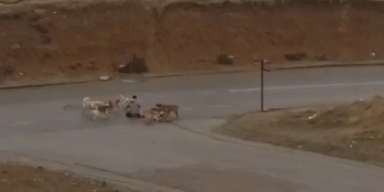 Yakıt deposundan litrelerce uyuşturucu çıktı