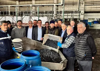 Demir yığınına dönen otomobilin sürücüsü hayatını kaybetti