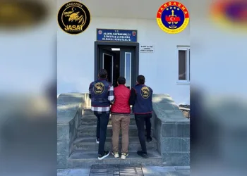 Mersin’de kaçakçılık operasyonu: 1 gözaltı