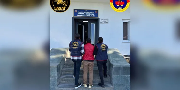 Mersin’de kaçakçılık operasyonu: 1 gözaltı