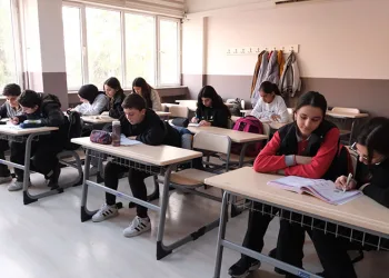 Kontrolden çıkan otomobil elektrik direğini devirdi