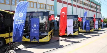 İznik’te kablolara dolanan kedi kurtarıldı