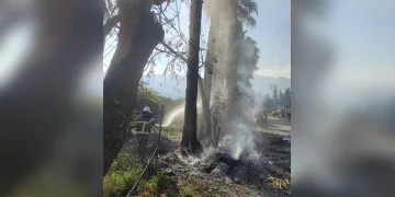 Porsuk Çayı’ndan çıkan su samuru görenleri tedirgin etti
