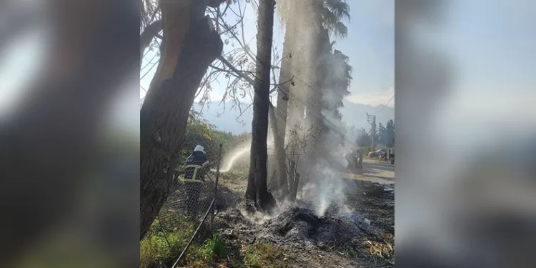 Porsuk Çayı’ndan çıkan su samuru görenleri tedirgin etti