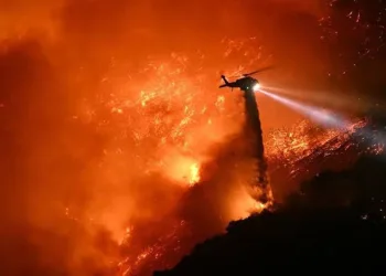Bakan Fidan, Şeybani ile görüştü