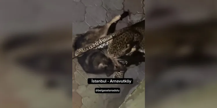 Kayseri’de 10 şahsa terörden işlem yapıldı