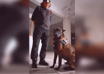Malatya’da arazide bulunan cesedin kimliği belli oldu