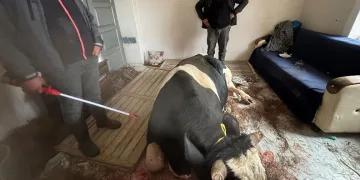 Ailesini katleden polis memuru 8 yıl önce güvercin kurtarmış