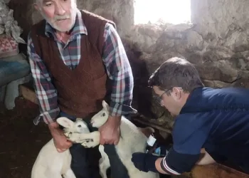 Üniversitede 20 öğrenci zehirlenme şüphesiyle hastaneye kaldırıldı