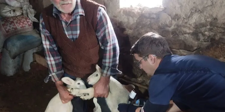 Üniversitede 20 öğrenci zehirlenme şüphesiyle hastaneye kaldırıldı
